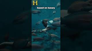 7 Best All Inclusive Resorts in Curaçao 2026