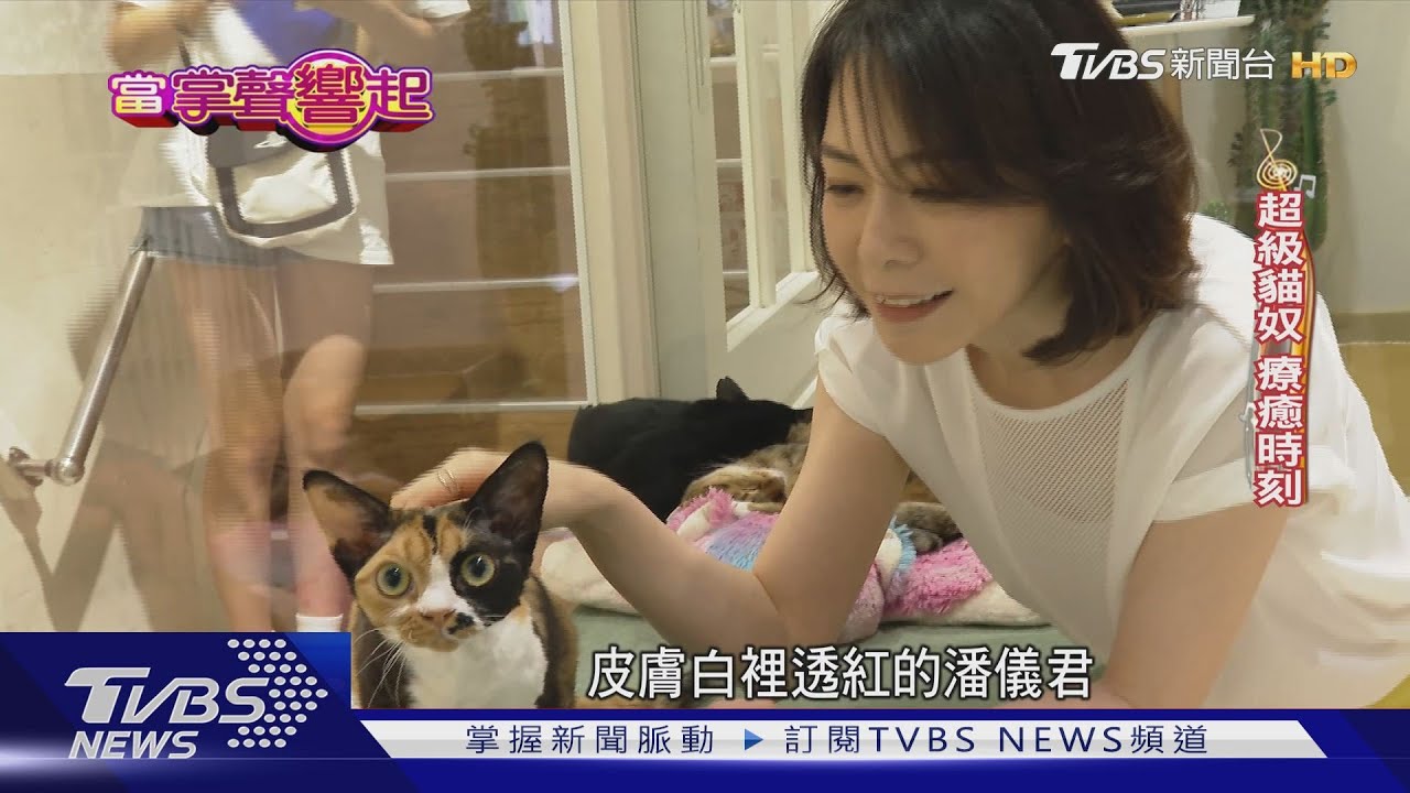 怎麼可能53歲!凍齡潘儀君熱愛貓咪 演法務部長苦背台詞