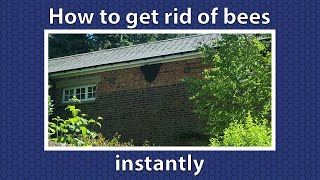 how to get rid of bees nest instantly