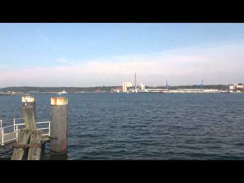 Ohne Moos und doch was los