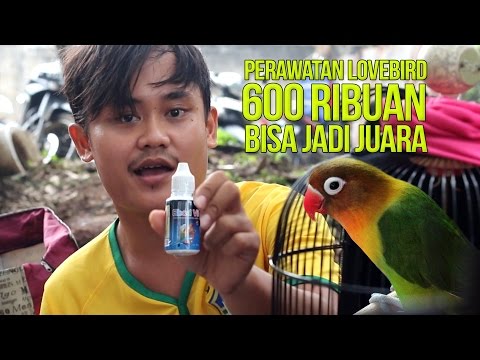 Metode pengobatan impotensi psikogenik nya Menjatuhkan exciter untuk wanita