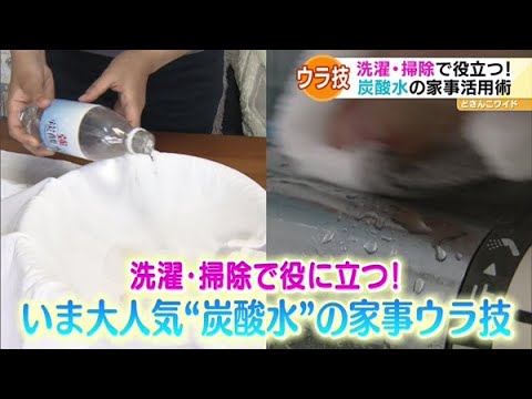 炭酸水で植物に水をやる 2023