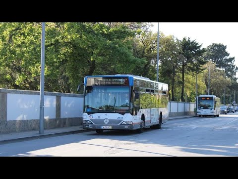 2141 STCP - Mercedes-Benz O530 Salvador Caetano CityGold MB 2KD - Linha / Line 501