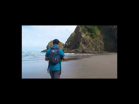 Piha Marawhara Track via White Beach and Laird Thomson