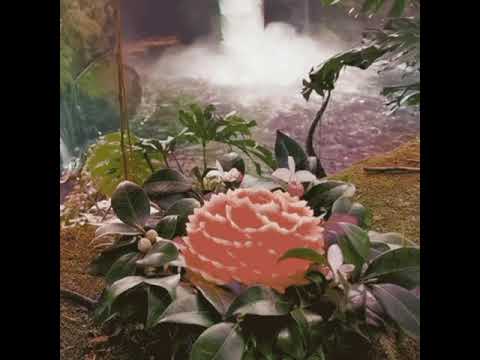 #best relaxing music #water sounds for sleep music with #Nature of the beach