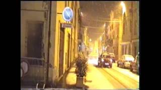 preview picture of video 'Rovescio di neve  REVERE MN 26-02-04.mpg'