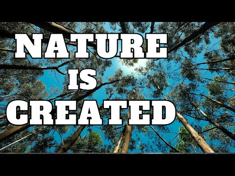 Nature is Created - Sarah Jane | Street Epistemology