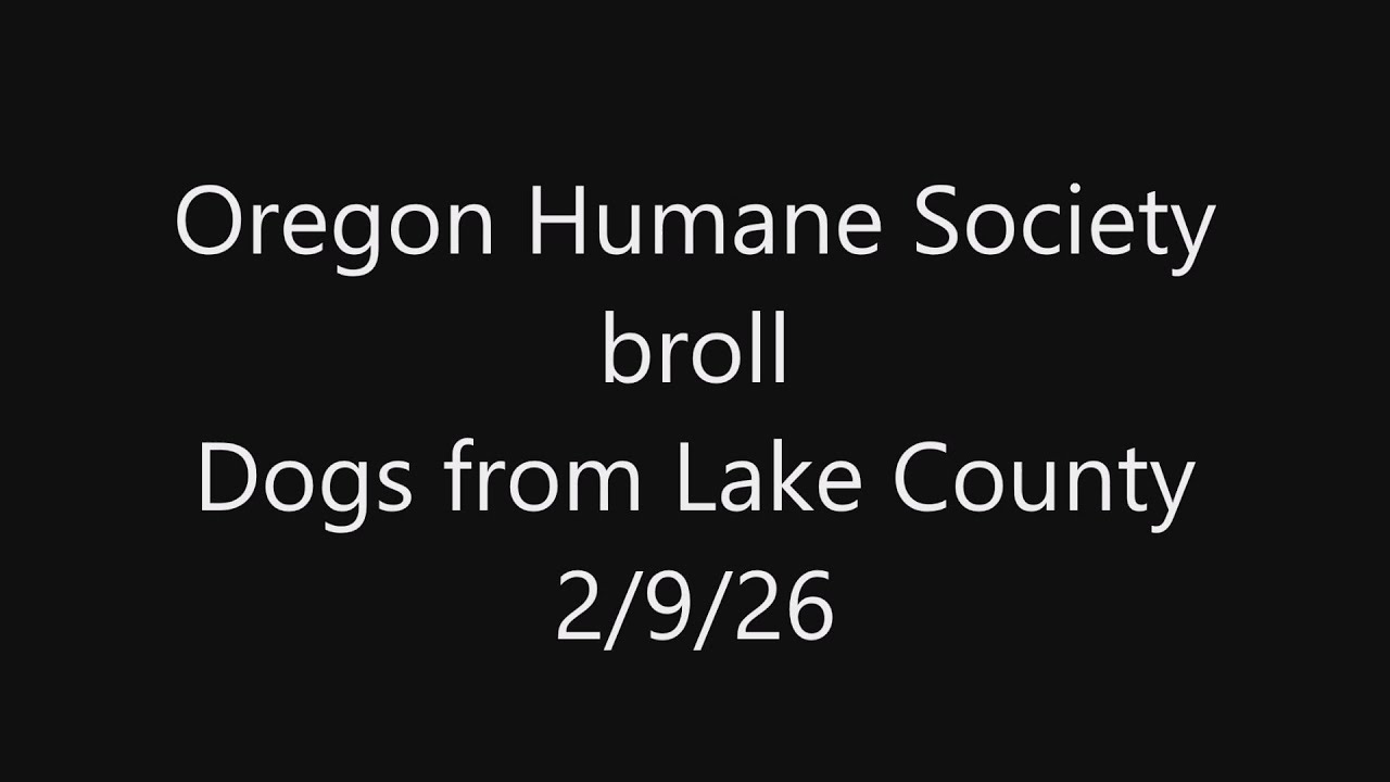 Oregon Humane Society receives dogs from Lake County