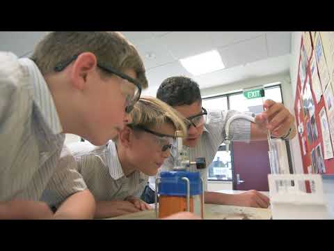 Cambridge Curriculum and Teaching Style