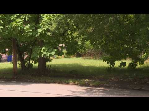 Cleveland to turn vacant lots into green space with $10M ...