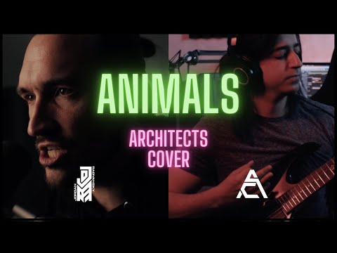 ANIMALS [Clean] - Architects (Jordan Radvansky Cover feat. Alae Cohen)