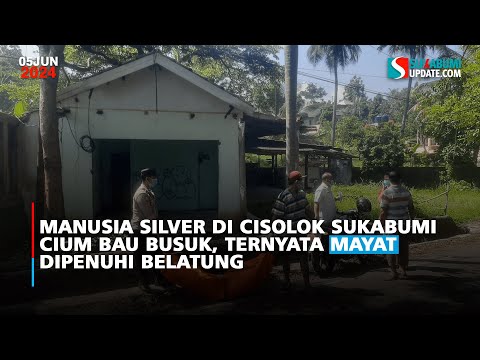 Manusia Silver di Cisolok Sukabumi Cium Bau Busuk, Ternyata Mayat Dipenuhi Belatung