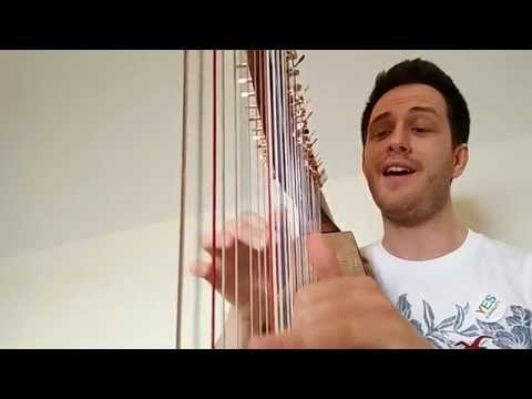 A Thousand Years – Christina Perry - Voice and Harp. Richard Hayes