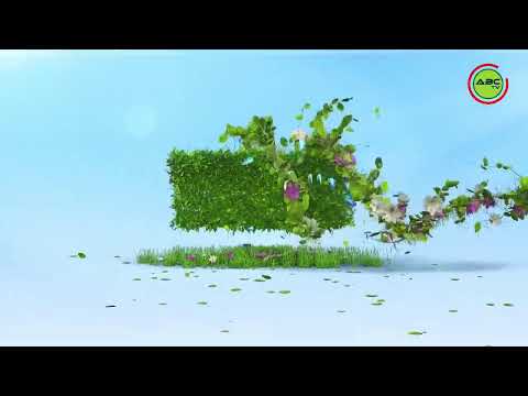 58ª FIESTA DE LA PRIMAVERA - VIVO- DESFILE NOCTURNO - NUEVA PALMIRA