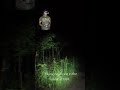 DONT WATCH THIS ALONE🫣 Drone Shorts