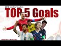 2018 World Cup🏆 Top 5 Goals With Malayalam Commentary |gold n ball|