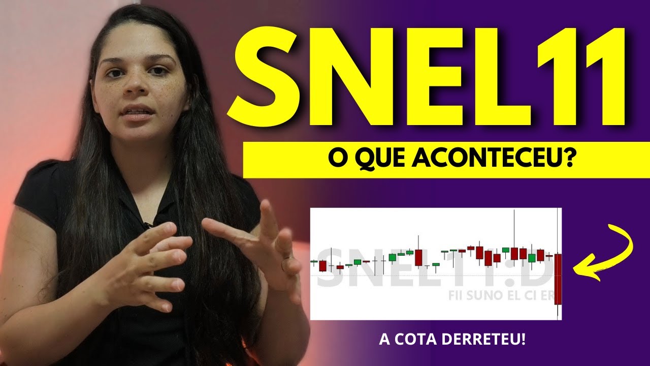 O QUE ACONTECEU COM SNEL11?