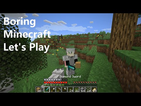 [SRS-Video] Boring Minecraft Let's Play - Episode 23 - Illager raid and more building materials
