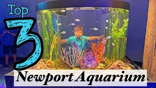 The Best of Newport Aquarium!  Top three MUST SEE.