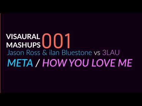 Jason Ross & ilan Bluestone vs. 3LAU - Meta / How You Love Me (Visaural Mashup)