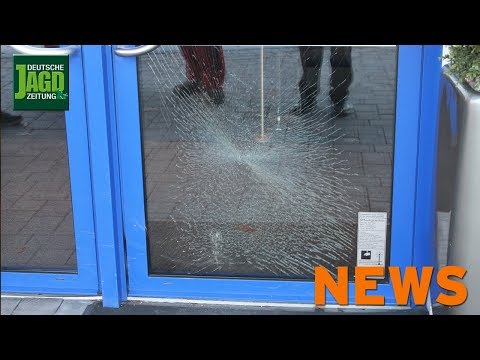 Wolf greift Jagdhunde an, Stadtsauen ohne Angst, Schalldämpfer – DJZ-News 4/2019