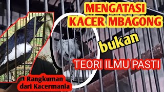 Download lagu HOW TO DEAL WITH MBAGONG KACER - experiences from kacer enthusiasts || not an exact science theory mp3
