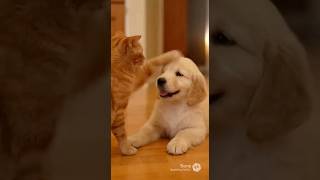 Cat Smacks Puppy ➡️ Mom Intervenes... Then the Cat Does THIS! 🥺