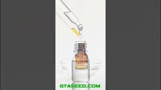 How to make a CBD Tincture, using MCT Oil #cannabiseducation #cannabisseeds #thc