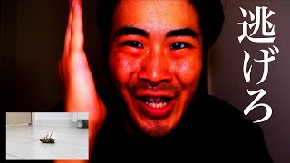 【種類別】部屋で見つけた虫の死骸の反応の違い。