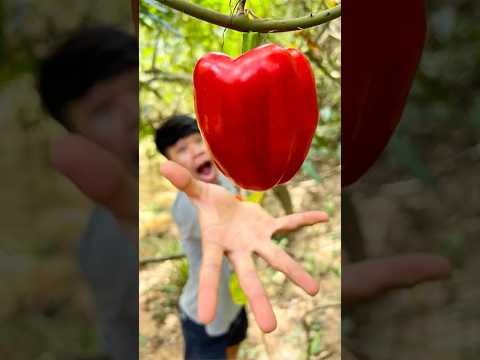 Red Pepper SURVIVAL Hacks You Need To Know Now