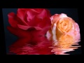 Everyday I Love You - Boyzone 