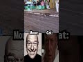 Cat Vs Mouse