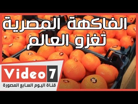 , title : 'الفاكهة المصرية تغزو العالم.. اعرف مراحل تجهيز الفواكه قبل تصديرها'