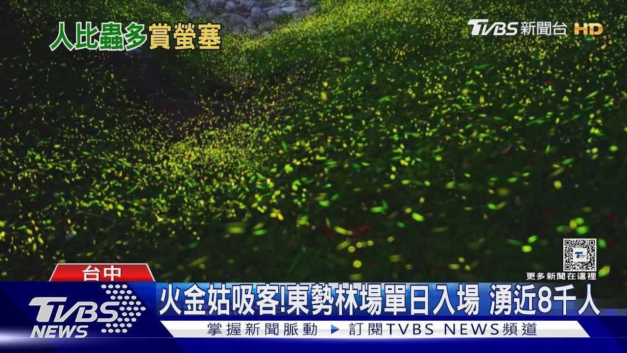火金姑吸客!東勢林場單日入場 湧近8千人