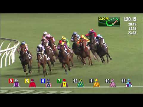 14/7/2021 (834) Helene Wisdom Star - N Callan