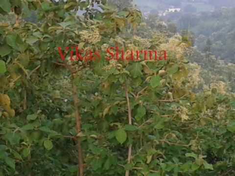Udaan  Yuva Kavi Vikas Sharma se Bhentwarta   DOB   25  May 2014 Video