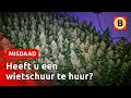 Gemeente biedt duizenden euro's in opmerkelijke brief | Omroep Brabant