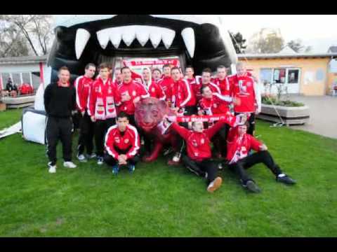 svweiden11042010.avi