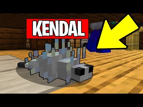 SONO DIVENTATO UN SILVERFISH SU MINECRAFT ITA!