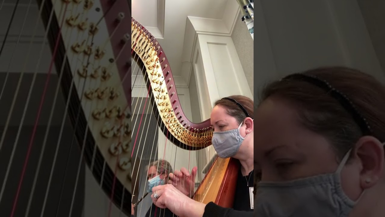 Promotional video thumbnail 5 for City Winds Flute and Harp  Duo