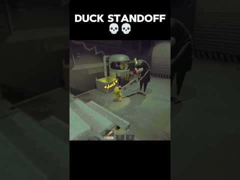 DUCK STANDOFF!! 💀💀