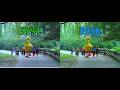 Sesame Street Rosita S Guitar Lessons