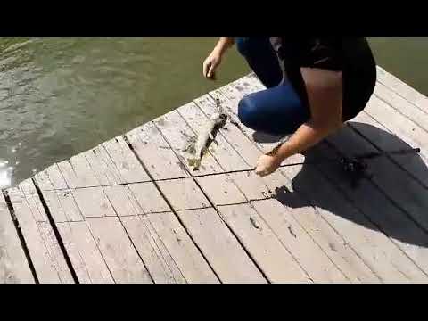 Ribolov Stuka na kasiku varalicarenje