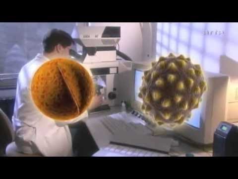 DOKU  Terra X   87   Der Riese Goliath   Auf den Spuren der Seevölker