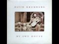 David Bromberg - My Own House Medley