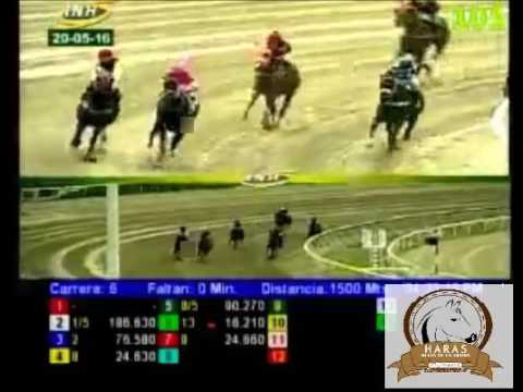 LA RINCONADA 6 CARRERA, VIERNES 20 DE MAYO DEL 2016