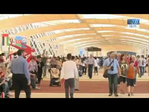 Tg2000 del 1° giugno 2015 - Edizione delle 12