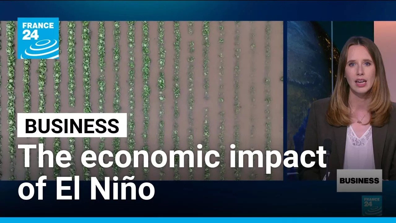 El Niño weather phenomenon set to deliver massive blow to global economy • FRANCE 24 English