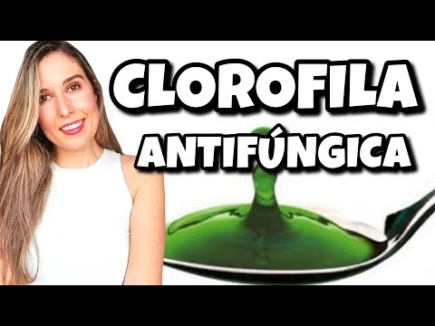 CLOROFILA LÍQUIDA para desintoxicar el cuerpo de METALES PESADOS y evitar la CANDIDIASIS intestinal