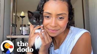 Boyfriend Has The Best Reaction To His Surprise Foster Kittens | The Dodo